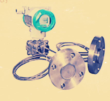 TYCO雙法蘭液位計(jì)